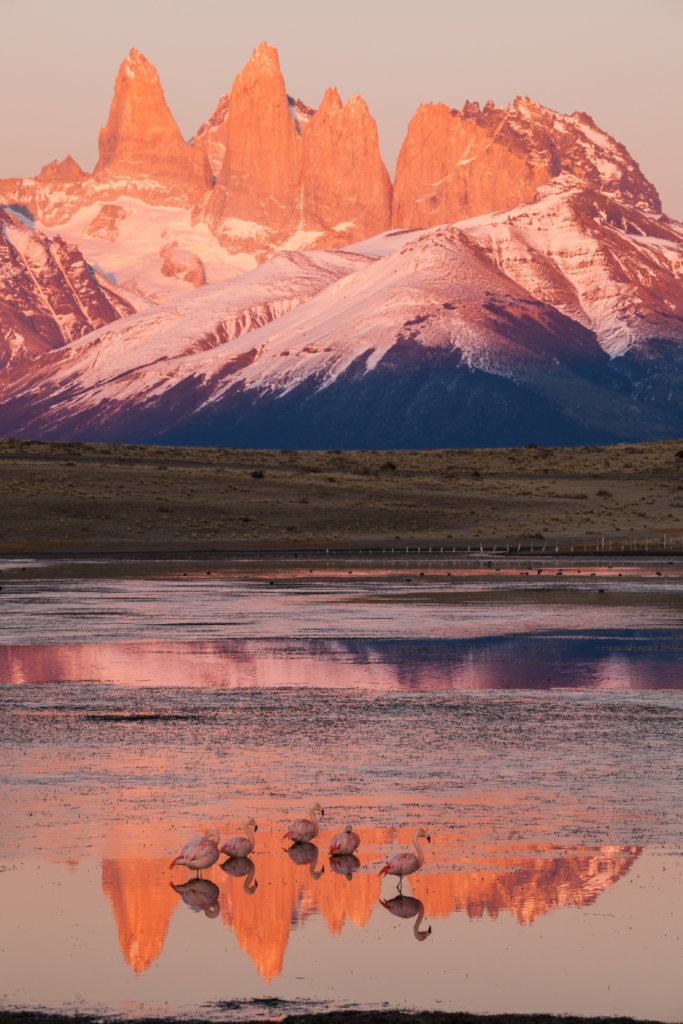 Kids for Patagonia National Parks