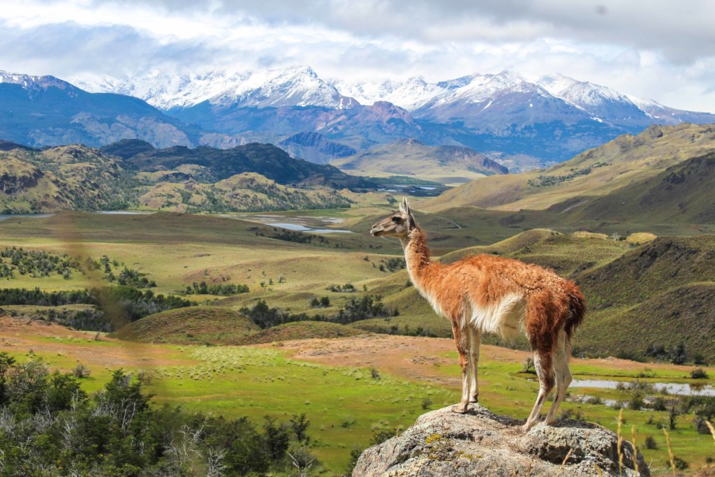 Kids for Patagonia National Parks
