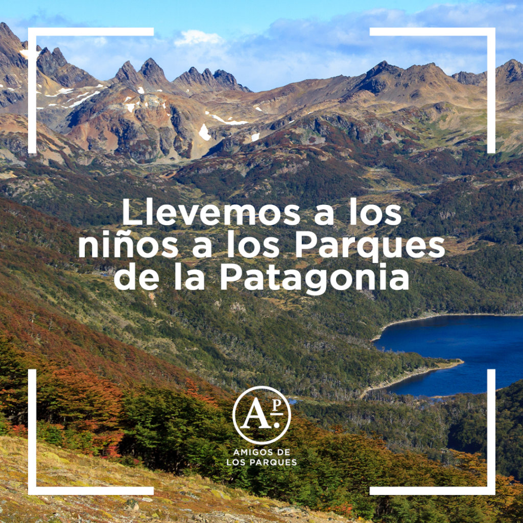 Kids for Patagonia National Parks
