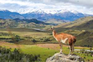 Patagonia National Park