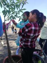 Families visiting the land