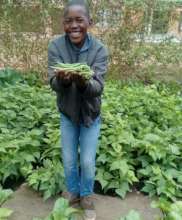 The excitement over this childs first crop of bean