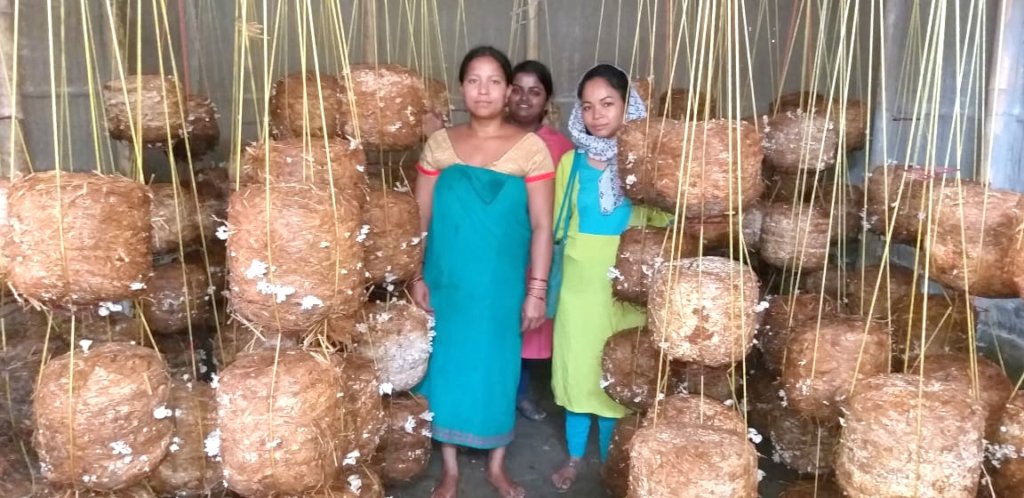 Boost Women's Livelihood Collectives for Equality