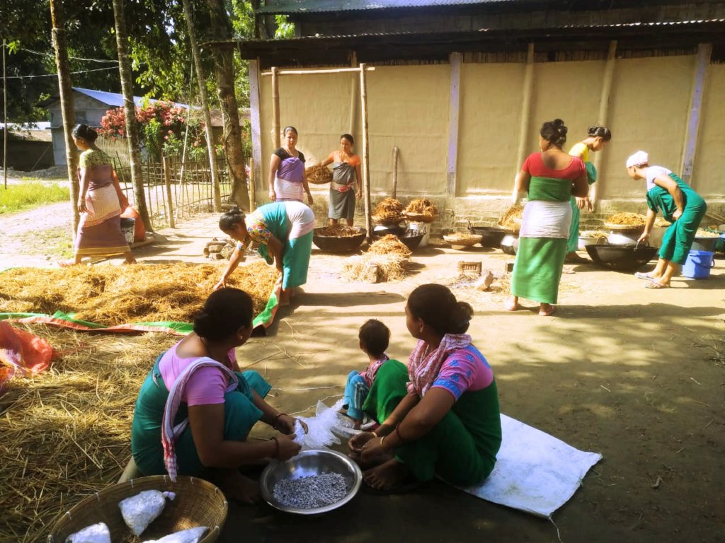 Boost Women's Livelihood Collectives for Equality