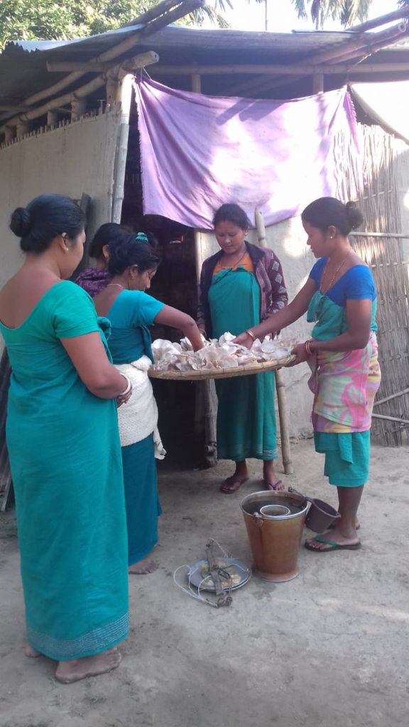 Boost Women's Livelihood Collectives for Equality