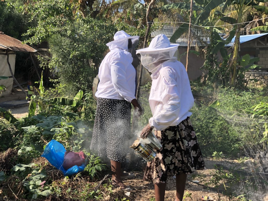 Train Hundreds of Haitian Women Beekeepers