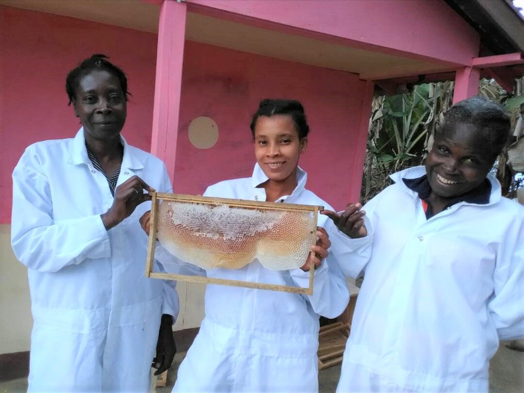 Train Hundreds of Haitian Women Beekeepers