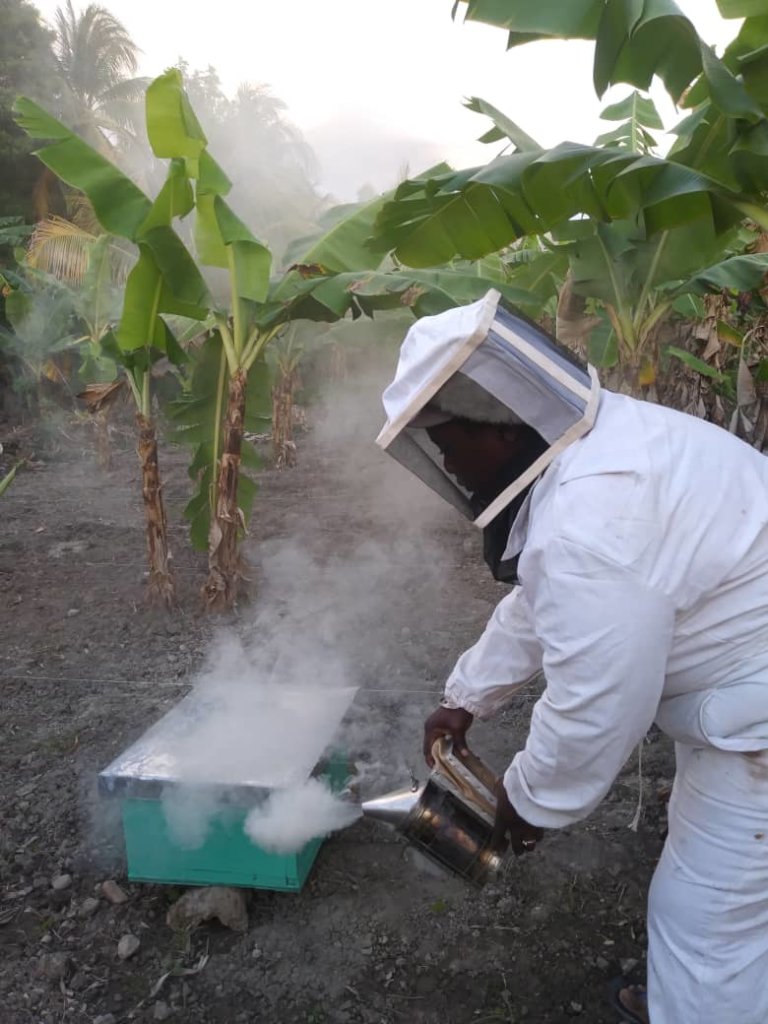 Train Hundreds of Haitian Women Beekeepers