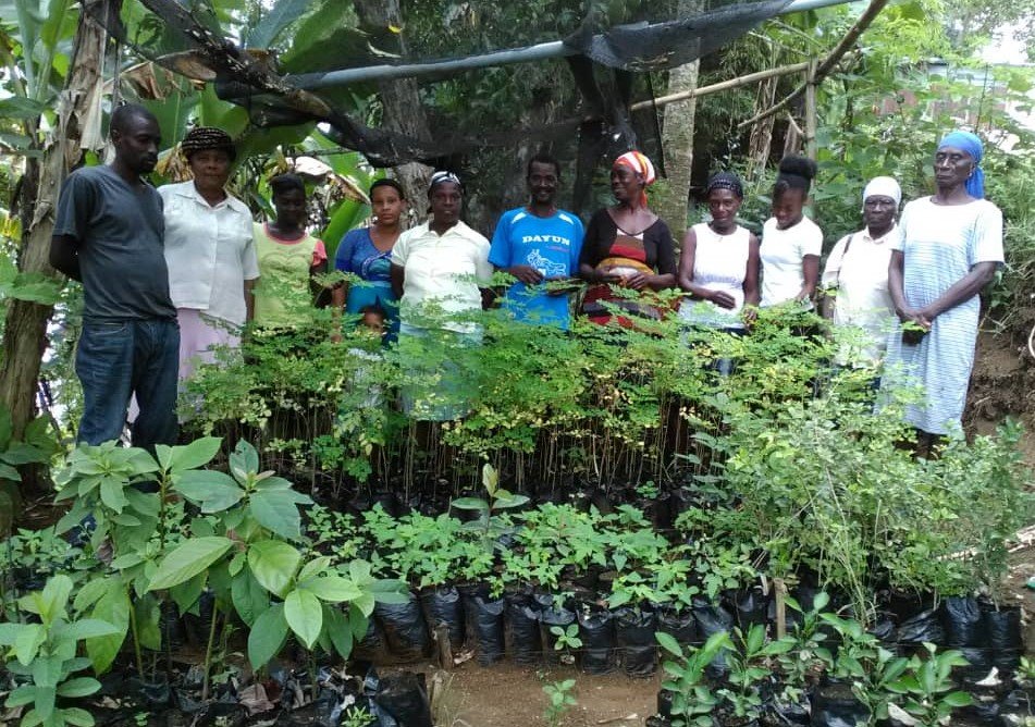 Train Hundreds of Haitian Women Beekeepers