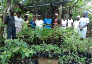 Trainees and staff with nursery plants