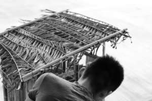 Participatory Process