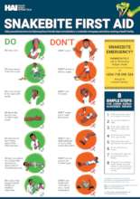 Snakebite First Aid Poster Kenya