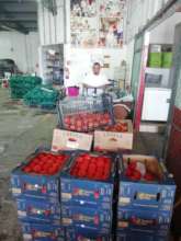 Rescue and storage of food