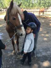 A rider greeting his horse