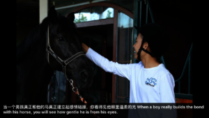 The bond between horse and rider