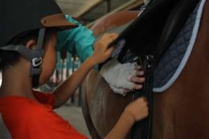 Learning how to tack up our horses!