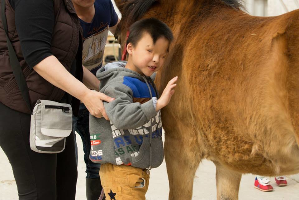 Horse-based services for the disabled in China