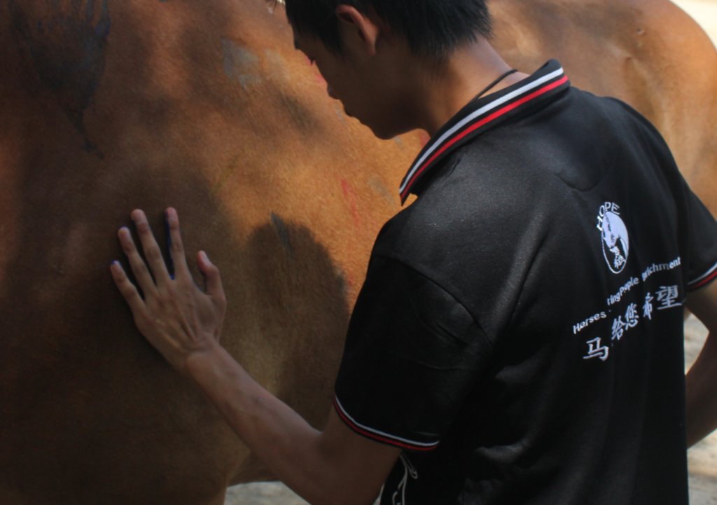 Horse-based services for the disabled in China