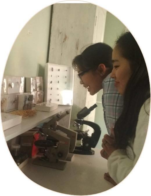 Support Robotics&Coding lab for girls in Mongolia
