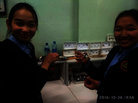 Support Robotics&Coding lab for girls in Mongolia