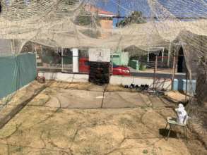 View from inside with current disintegrated net