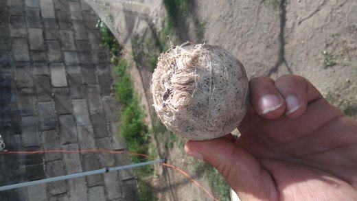 The Pitch - Batting Cage in Sosua