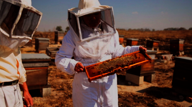 Empowering dreams in Mexico