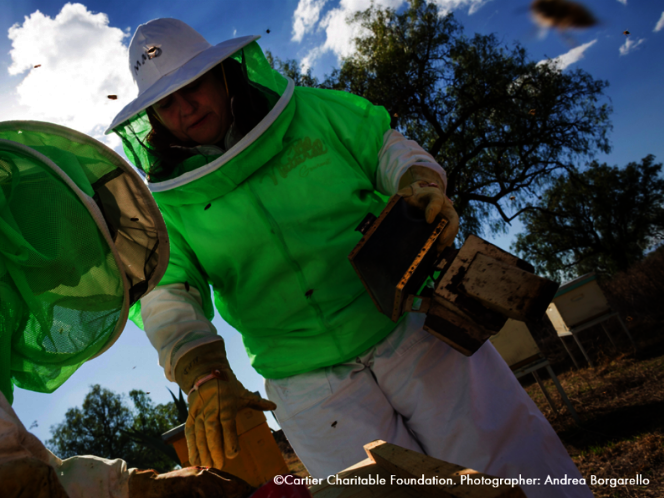 Empowering dreams in Mexico