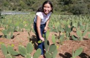 Empowering dreams in Mexico