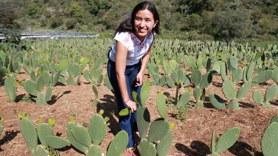 Empowering dreams in Mexico