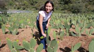 Empowering dreams in Mexico