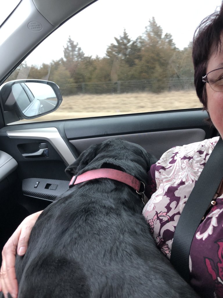 Pedaling 400 Paws per year to rescue