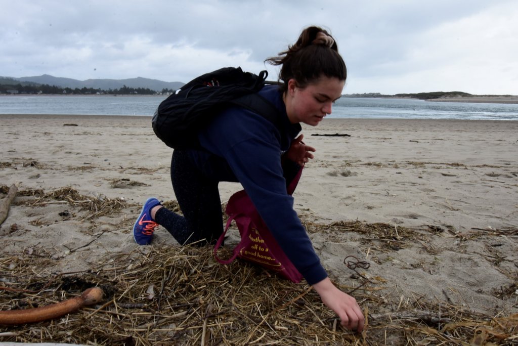 Empower 17,000 kids to Save the Ocean