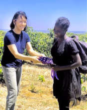 On a Coffee Plantation