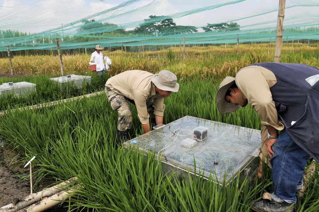 Help young researchers solve global problems