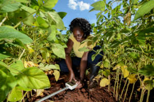 Researching soil health