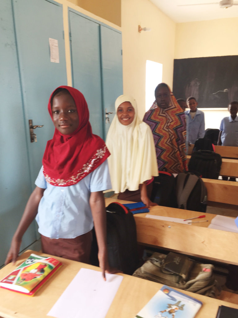 Send 40 Girls in Niger to Secondary School