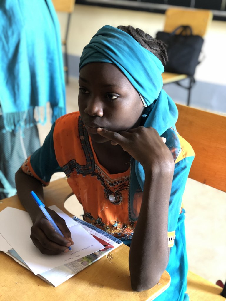 Send 40 Girls in Niger to Secondary School