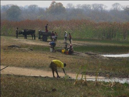 Sustainable Health Food Systems Feed 100 Elderly
