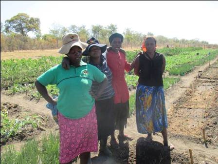 Sustainable Health Food Systems Feed 100 Elderly