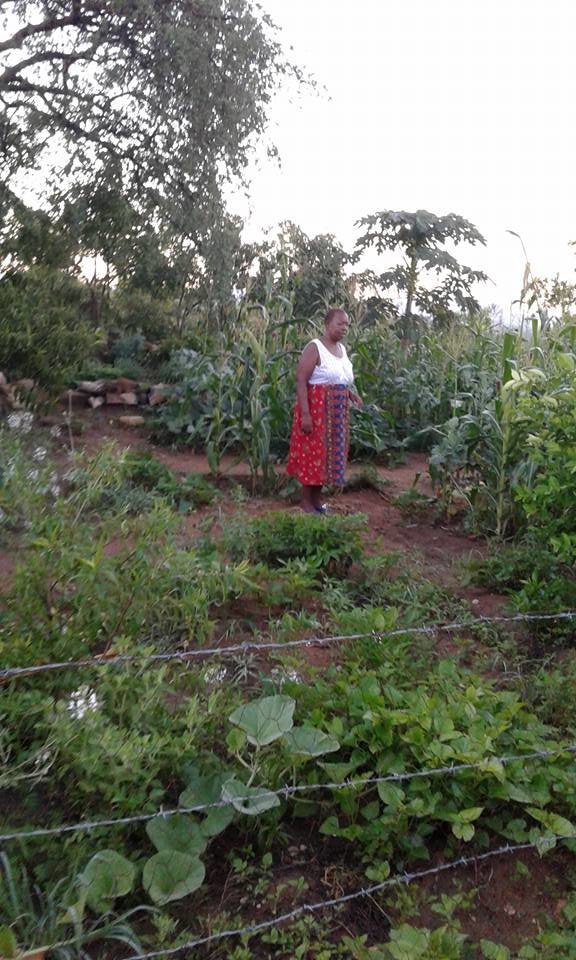 Sustainable Health Food Systems Feed 100 Elderly