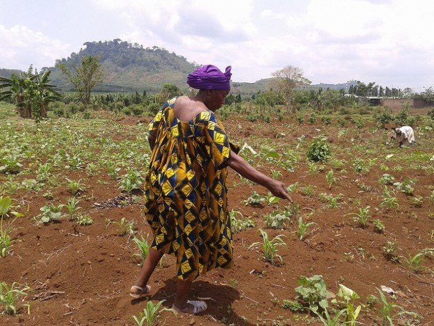 Sustainable Health Food Systems Feed 100 Elderly