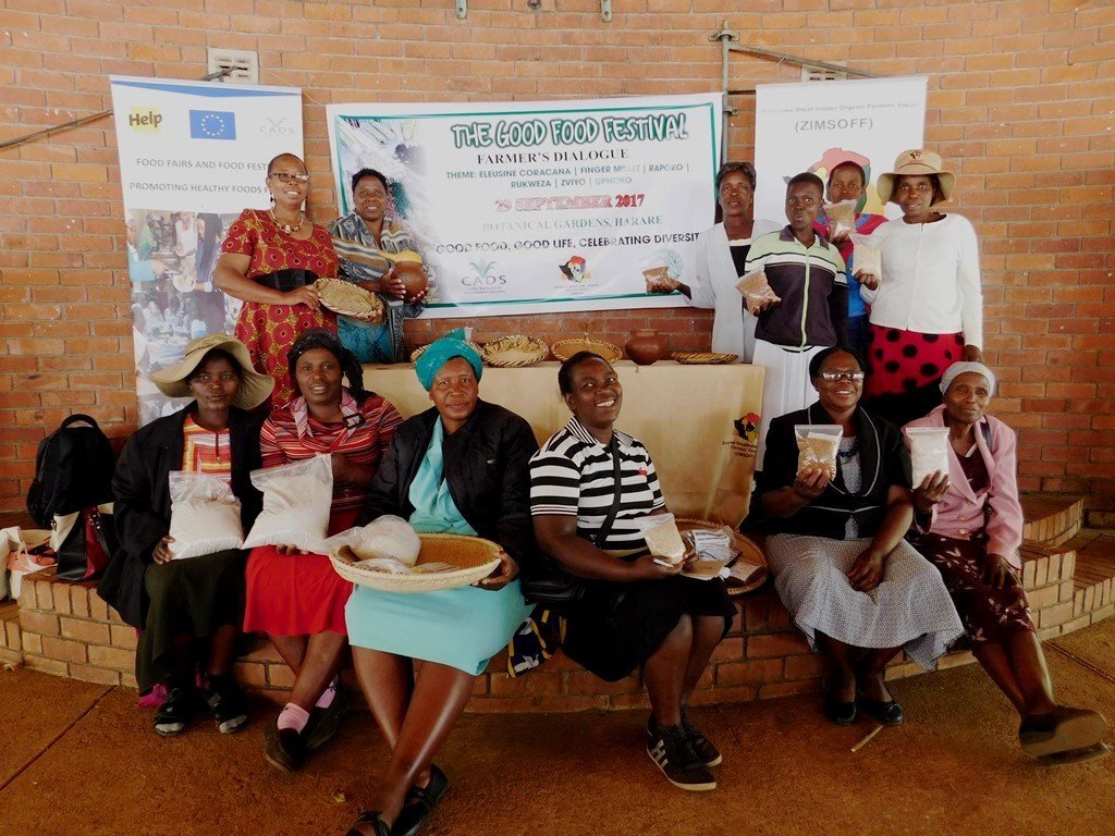 Sustainable Health Food Systems Feed 100 Elderly