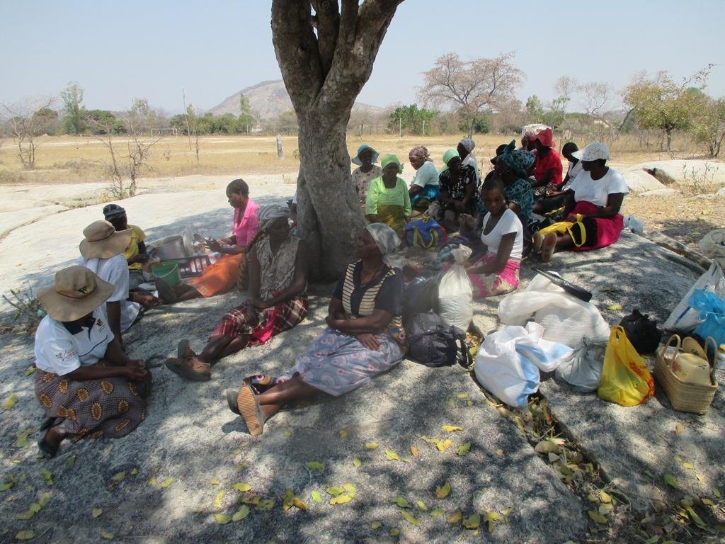 Sustainable Health Food Systems Feed 100 Elderly