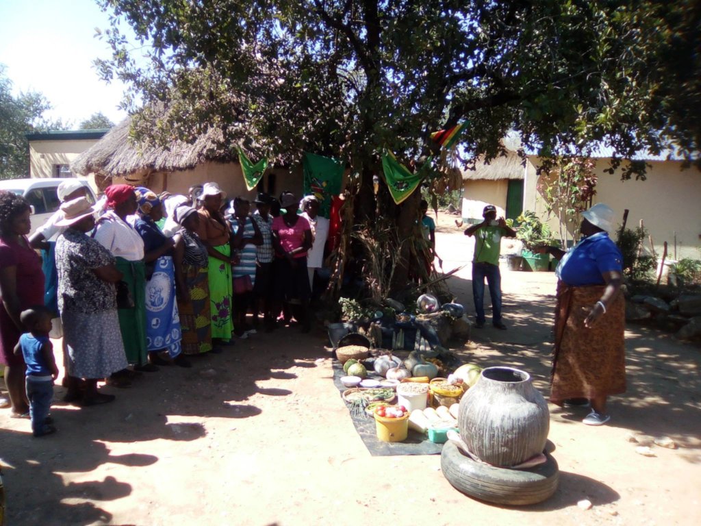 Sustainable Health Food Systems Feed 100 Elderly