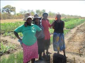 Pigs give wings to 50 women