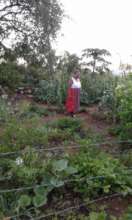 Woman farmer in her crop field