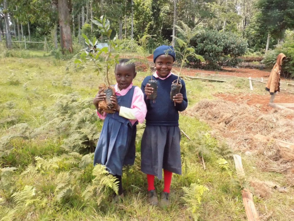 School Greening Programme for Kenyan Pupils