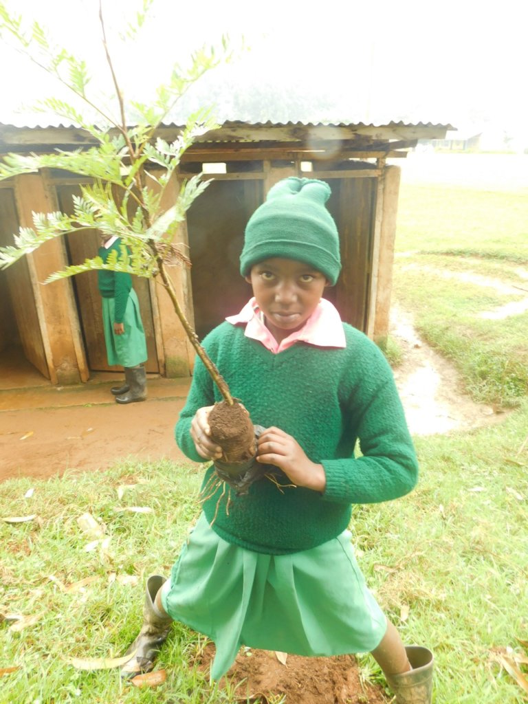 School Greening Programme for Kenyan Pupils