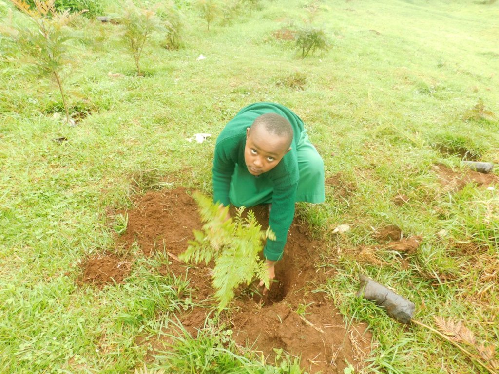 School Greening Programme for Kenyan Pupils